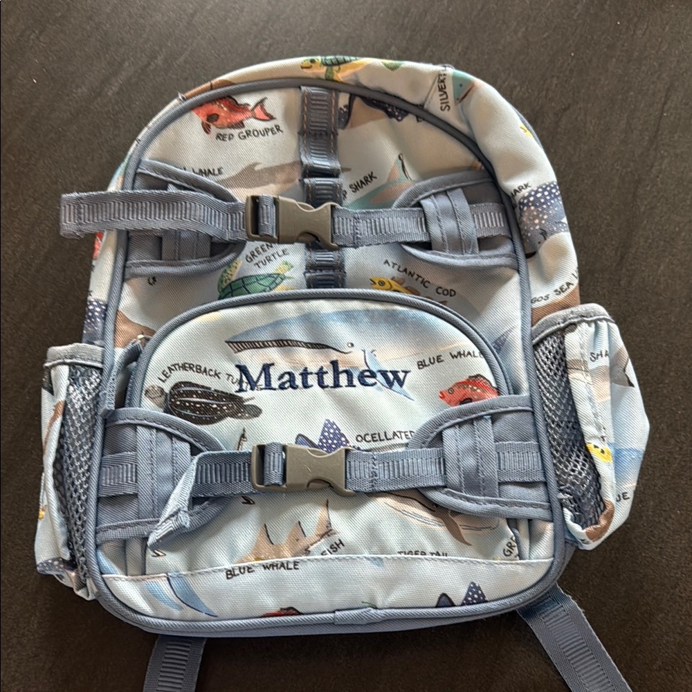 Pottery Barn Kids Blue Bow Accent Backpack